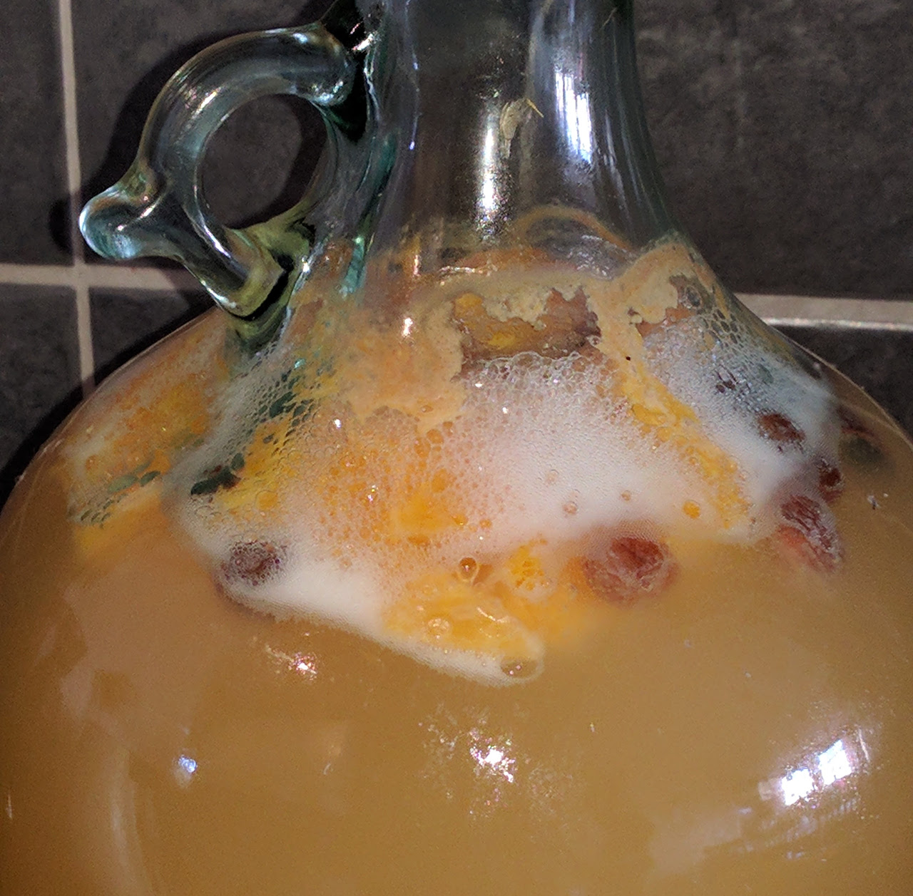 fermentation